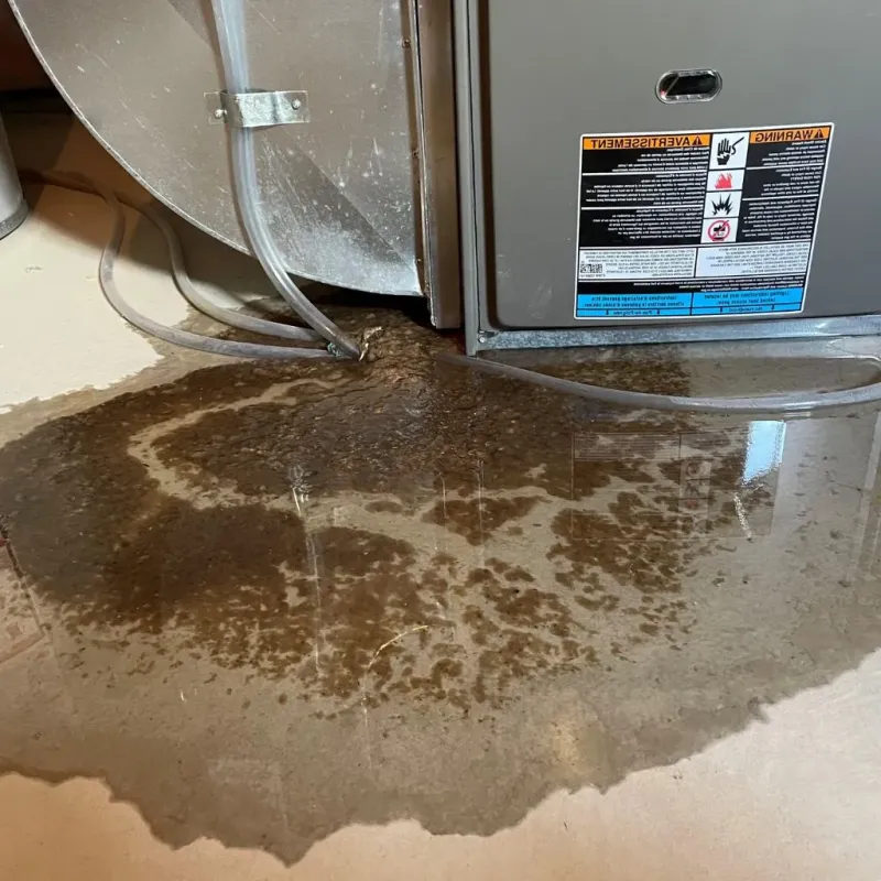 Pipe Burst and Leak Restoration in Hudson, PA