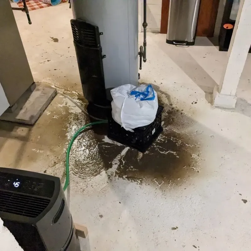 Sewage Backup Cleanup Service in Hudson, PA